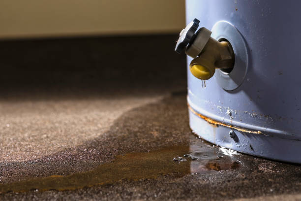 Carpet water damage restoration in Rice, TX