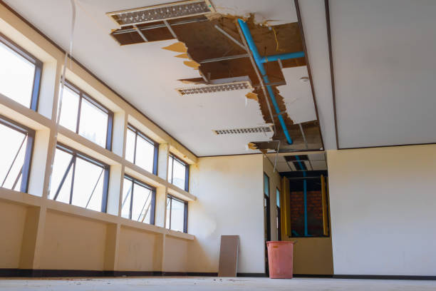 Best 24/7 water damage repair  in Rice, TX