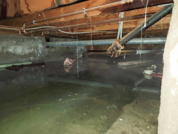  Rice, TX Water damage restoration Pros