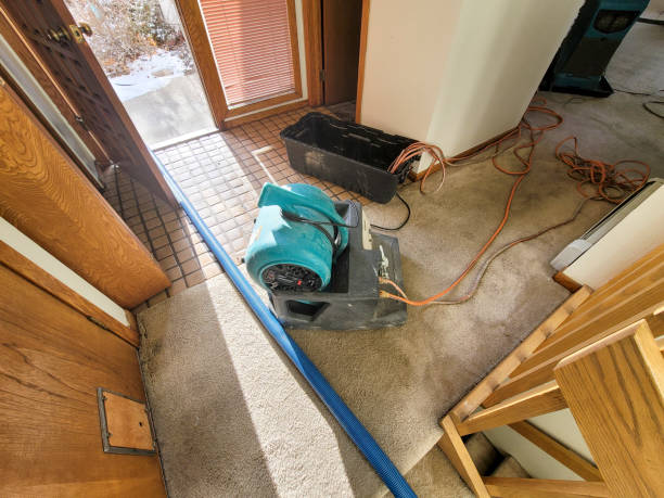 Best Water damage mitigation services  in Rice, TX