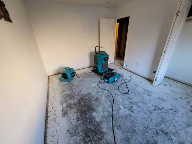 Best Commercial water damage restoration  in Rice, TX