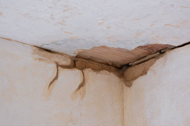  Rice, TX Water damage restoration Pros
